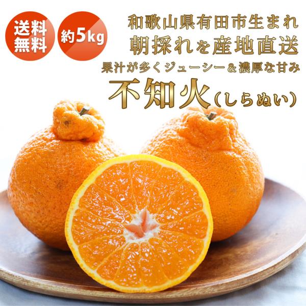 ＜3月上旬〜＞濃厚清見オレンジ（ご家庭用）約10kg　※2024年３月上旬〜３月下旬頃に順次発送予定