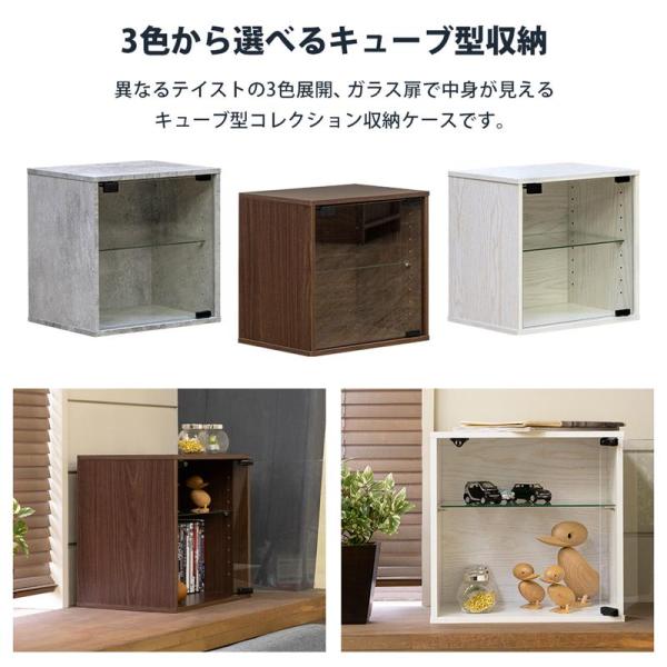 扉付きラック 2段ラック ガラス扉 可動棚 カラーボックス コレクション