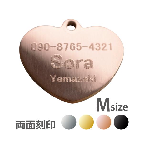 n[gMTCY ʍ  ʃXeXqD / Vo[ S[h sNS[h ubN XeXX`[ / ([֑) ^U