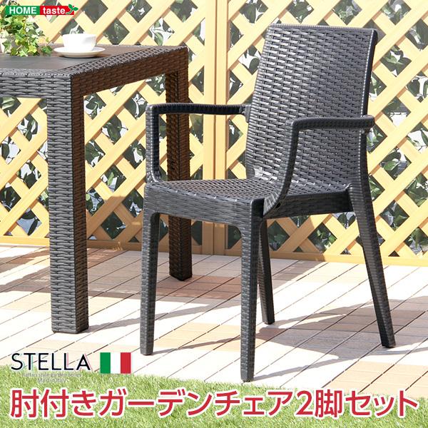 ガーデン肘付チェア 2脚セット【ステラ-STELLA-】（ガーデン カフェ 