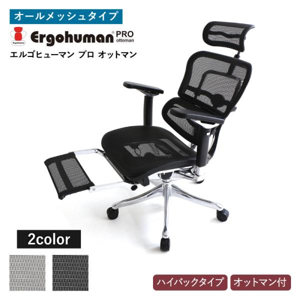 オフィスチェア エルゴヒューマン プロ オットマン エルゴヒューマンプロ EHP-LPL メッシュタイプ BK GR リクライニング ハイバック 高さ調節 組立品 MT :1000000086974:ADOKASオンラインYahoo!店 - 通販 オフィスチェア エルゴヒューマン プロ オットマン エルゴヒューマンプロ EHP-LPL メッシュタイプ BK GR リクライニング ハイバック 高さ調節 組立品 MT :1000000086974:ADOKASオンラインYahoo!店 - 通販