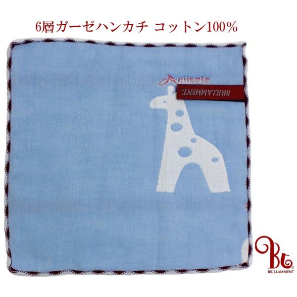 [ug] BRILLAMMENT K[[nJ` K[[^I 6d 25cm 6w  xr[ _炩ʋCQ Rt^I v[g LƃAj} u[