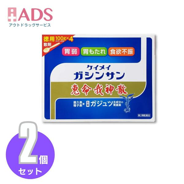【第2類医薬品】恵命我神散 100g 4袋≪2セット≫
