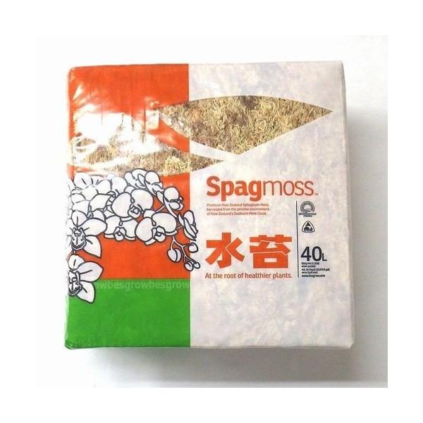 ベスグロー・スパグモス（水苔）はプロのラン栽培業者が使用す津最高級品です。ニュージーランドで採取される最も一般的な品種、スファグナム・クリスタータムは多種より大きな葉と茎の構造をしています。スファグナム・サブニテンスは葉が小さく、ほっそりと...