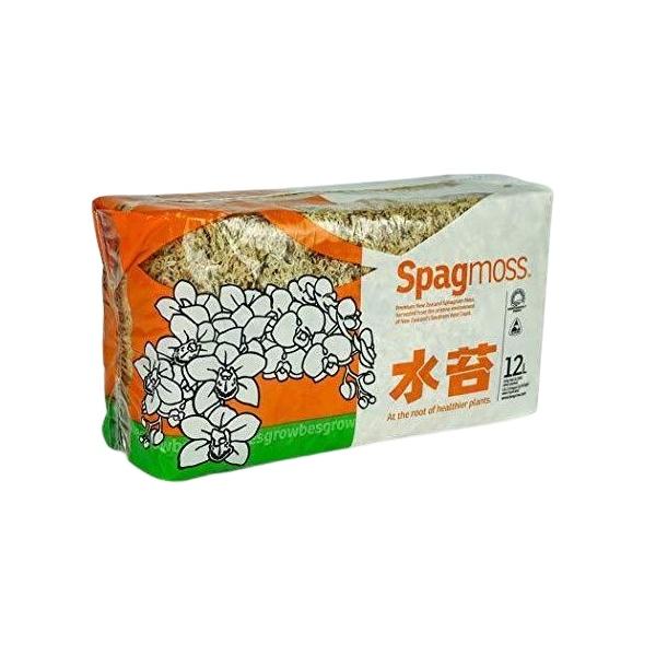 ニュージーランド産水苔 150g ビカクシダ 蘭 植え込み 爬虫類 爆買