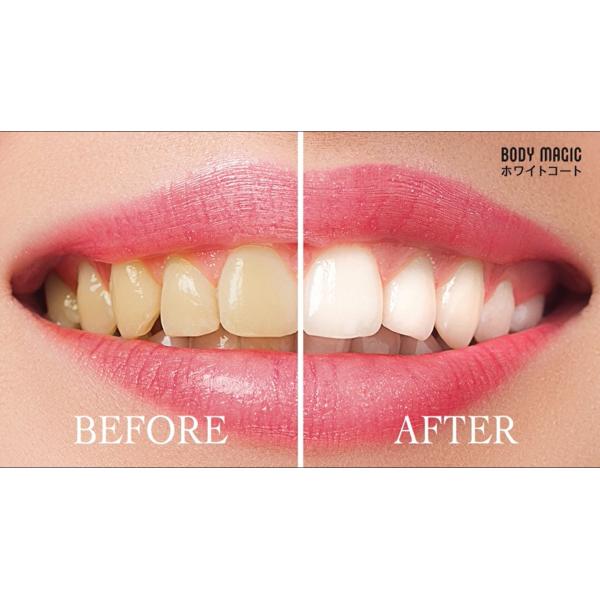 advancedbase_bm0001_5_d_20221004150221