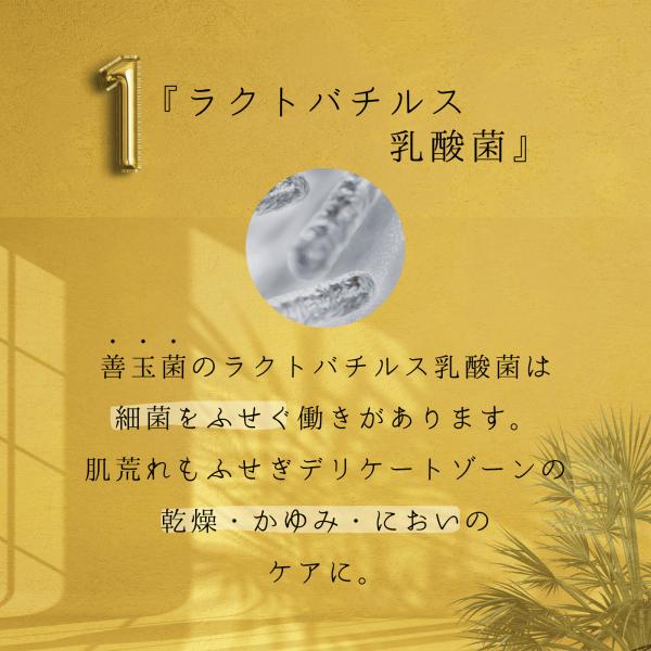 advancedbase_onp00006_4_d_20251112113700