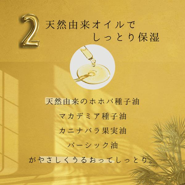 advancedbase_onp00006_5_d_20251112113703