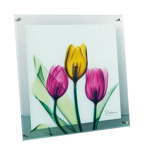 送料無料 X Ray ガラス Xr チューリップ アート 限定価格セール Lサイズ