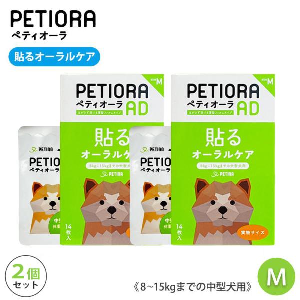 見切り品 ペティオーラAD デンタルパッチ Mサイズ 2個 セット 使用期限2027年1月