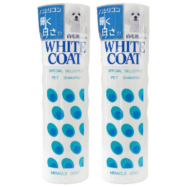 ~NR[g zCgVv[ 400ml 2{