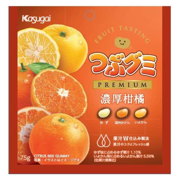 春日井製菓 つぶグミＰＲＥＭＩＵＭ濃厚柑橘 75g×10袋