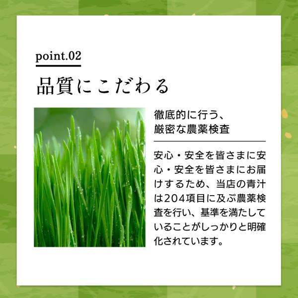 aemotion_499620904_5_d_20241213102919