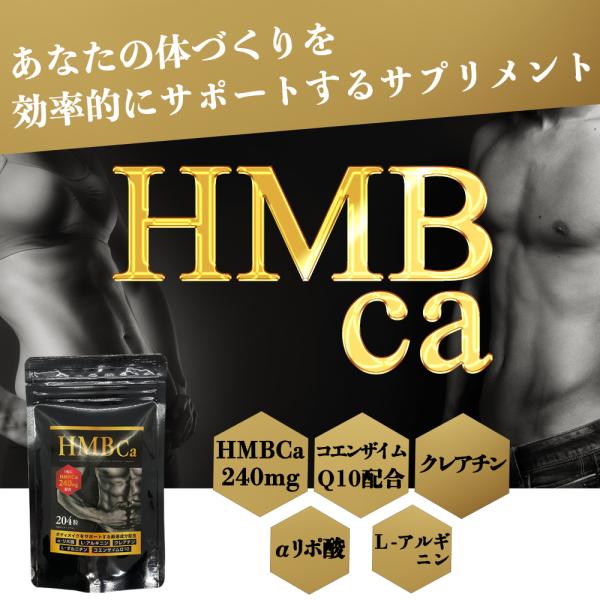 Hmb サプリメント 4粒 Hmbca 240mg 筋トレ ダイエット 大容量 トレーニング カルシウム サプリ 送料無料 ギフト Hmb 1 Aemotion 通販 Yahoo ショッピング