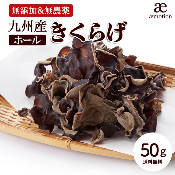 九州産 きくらげ ホール 乾燥 50g 無農薬 無添加 国産 木耳 料理 健康 乾物 希少 健康 ごはん Y