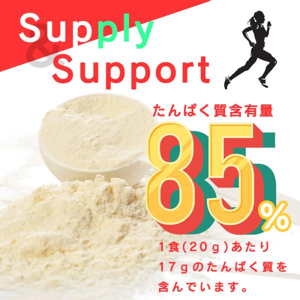 ナチュラルソイプロテイン 500g 無添加 保存料不使用 大豆 ダイエット 美容 筋肉 スポーツ 大容量 アミノ酸 プロテイン 送料無料 ギフト Buyee Buyee Japanese Proxy Service Buy From Japan Bot Online