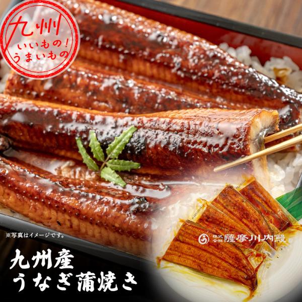 九州産うなぎ蒲焼き真空カット 薩摩川内鰻
