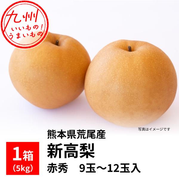 新高梨（熊本県荒尾産）1箱（5kg）　赤秀　9玉〜12玉入
