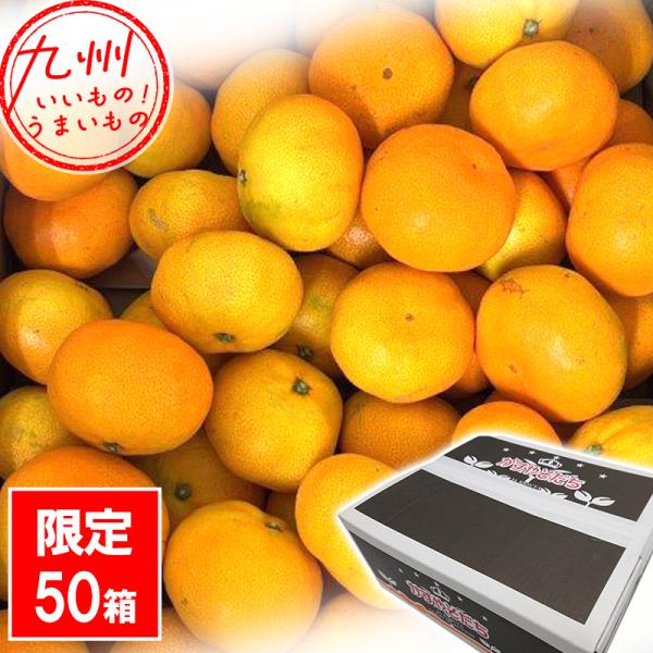 福岡県産 かすやそだちみかん M-Sサイズ 5kg箱 : イオン九州オンライン