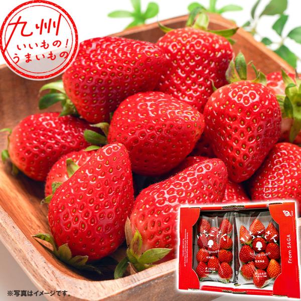 佐賀県産 いちごさん 480g （240g×2パック） JAさが