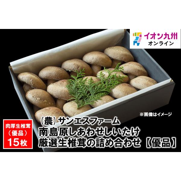 南島原しあわせしいたけ 厳選生椎茸の詰め合わせ 【優品】 : イオン