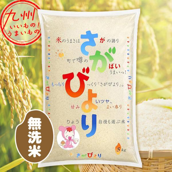 ⭐️新米 令和5年産1等米 ⭐️佐賀県産 さがびより20k(5k×4袋) 令和5年産 佐賀県産 無洗米 さがびより 5kg : イオン九州