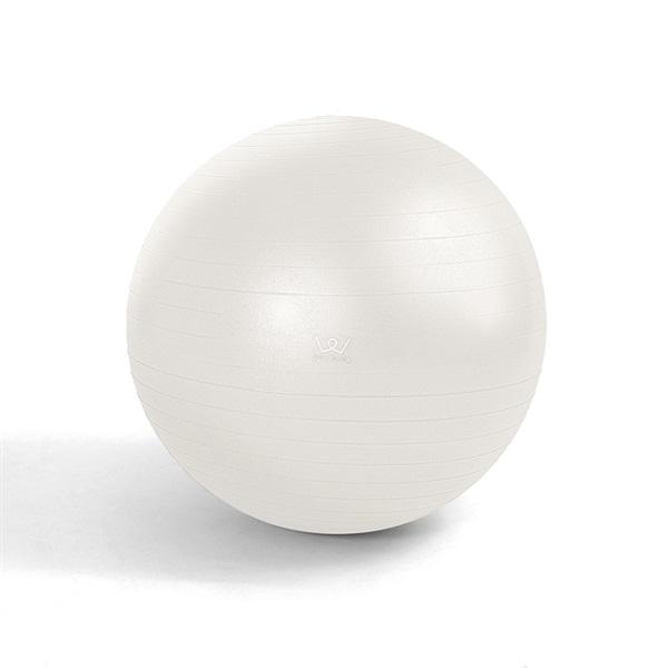 他サイト： アルインコ　エクササイズボールの商品画像
