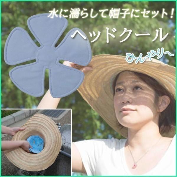 【特価】 ヘッドクール 帽子用 保冷剤 熱中症対策グッズ帽子 頭冷やすグッズ 冷感 ヘルメット パッド 子ども 頭 冷却 冷え冷えグッズ 帽子 クールインナー