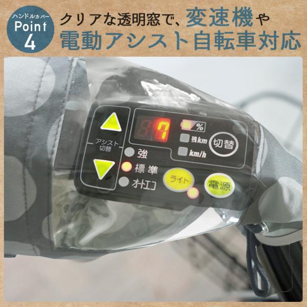 aetonyx_set-665-635_5_d_20220920104028