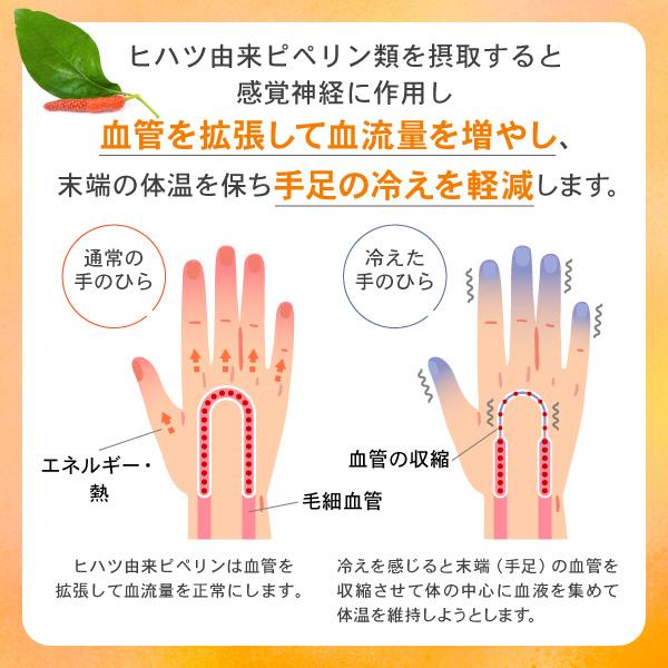 afcshop_01647x01_3_d_20241216163947