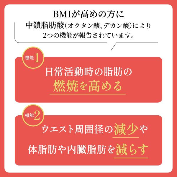 afcshop_05152x01_4_d_20250930090511