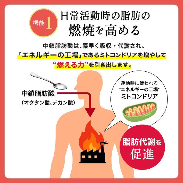 afcshop_05152x01_5_d_20250930090517