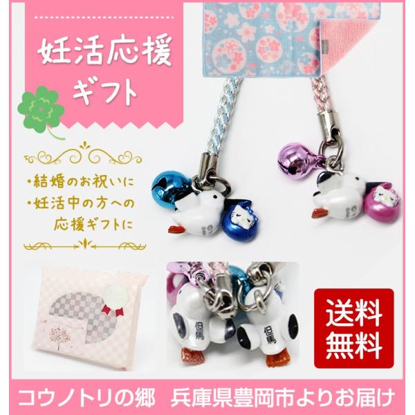 affinage_affinage-kitty-a