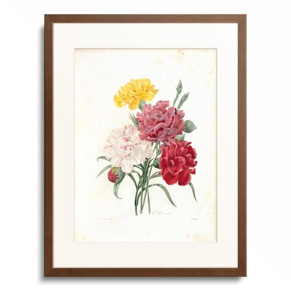ピエール=ジョゼフ・ルドゥーテ 画集「Redoute's Bouquets」 ピエール=ジョゼフ・ルドゥーテ 画集「Redoute's Bouquets