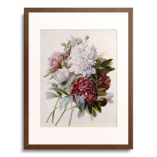 ピエール＝ジョゼフ・ルドゥーテ Pierre-Joseph Redoute 「Bouquet of