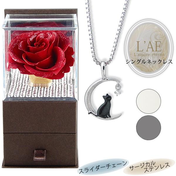 lbNX fB[X AM[Ή vU[uht[ XeX L O y_g XC_[`F[ T[WJXeX lR L [