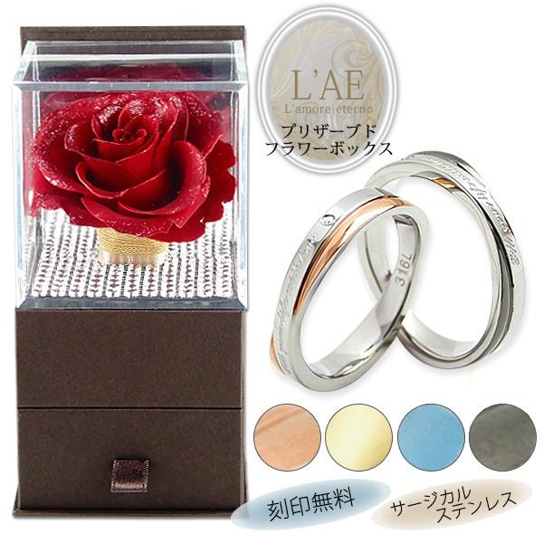 yAO vU[uht[ 󖳗 XeX a  w yA  O lC ubN sN [YS[h AM[Ή