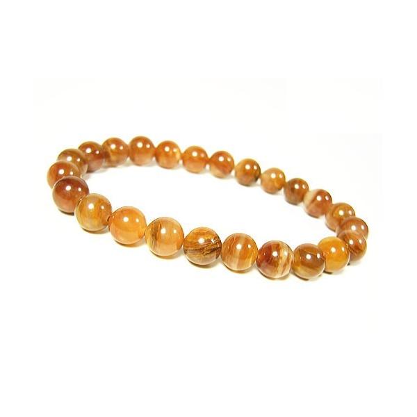 �撅1���l �P�_���� �����ҏ��� ��T�`�����J�Y��q�}�������[�Y/�A�[�c���C�g�̋N���󏭐��� �p���[�X�g�[���u���X���b�g CP10 �l�R�|�X�����@�����_�C�������h