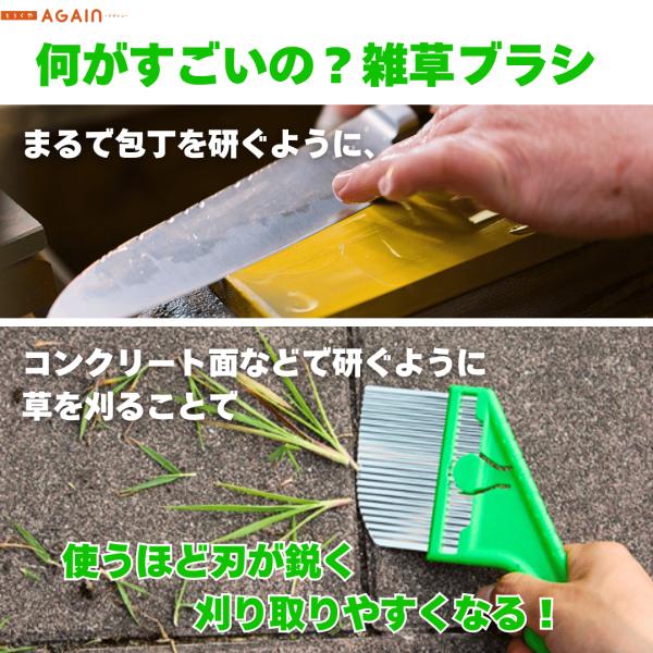�X�e�����X�n�� �G���u���V �g���K���@nisaku NO2511 �x�c�n���@���[���֑��������p�΂�^�C�v ����� �u���V ������@����|��  �R���N���[�g�A�X�t�@���g�~�� ���i�摜2
