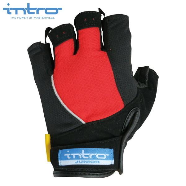 intro@Cg Stinger2J XeBK[2 WjA Red WjA n[ttBK[ oCNO[u