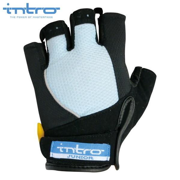 intro@Cg Stinger2J XeBK[2 WjA Light Blue WjA n[ttBK[ oCNO[u