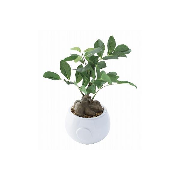 ガジュマル ミニ 造花 アーティフィシャルフラワーの人気商品 通販 価格比較 価格 Com