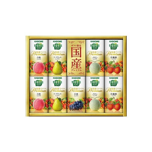 j JS ؐ100 Yv~AMtgiej YP-20S Ԃ oYj Cj 䋟 TԂ