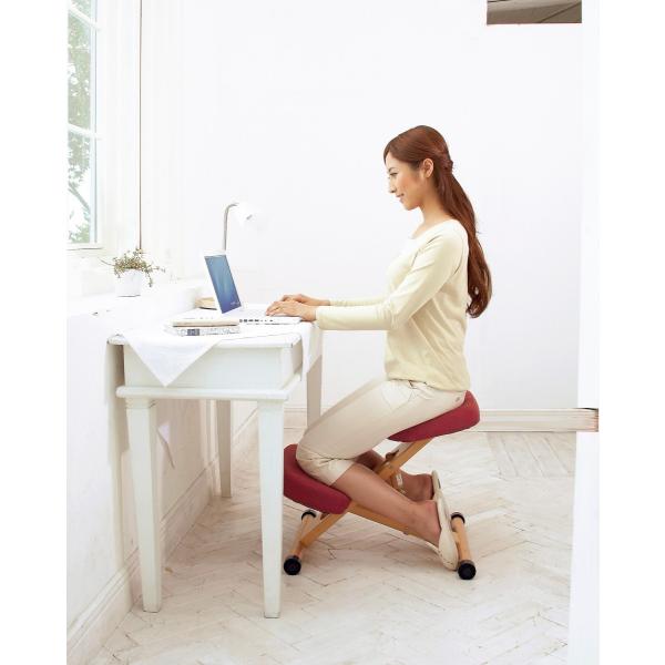 バランスチェア 補助クッション付き 姿勢を良くする椅子 大人も使えるプロポーションチェア 学習 学習チェアー Ch w Cn 8c 送料無料 新生活 Buyee Buyee 日本の通販商品 オークションの代理入札 代理購入