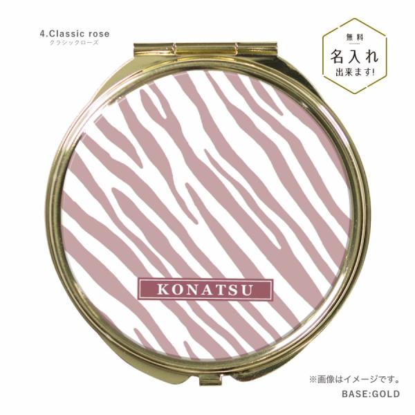 agent-n_ete025-mirror-4rose