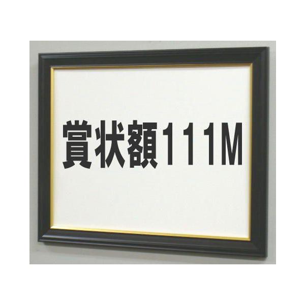 賞状額111M 勲記 適応用紙サイズ595X422ミリ