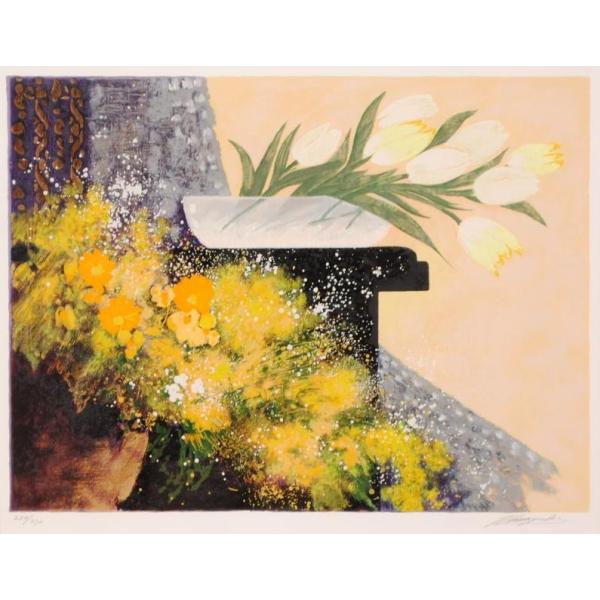 agmotokawa_takei-harunohana 