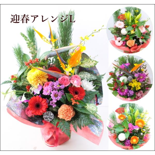 AW  2026N}t Vt Ε N  u܂}tAWLv12/27`31ł͂Iׂ܂B