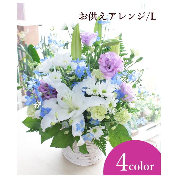 Ԃ܂AWL ~ ~ AW  䋟 A @v  ʖ V ʎ  