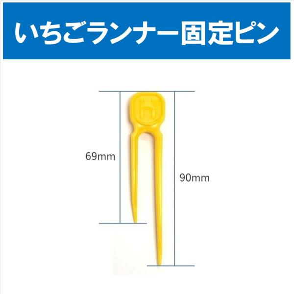 いちごランナー固定ピン 100本セット : アグリベース四万十
